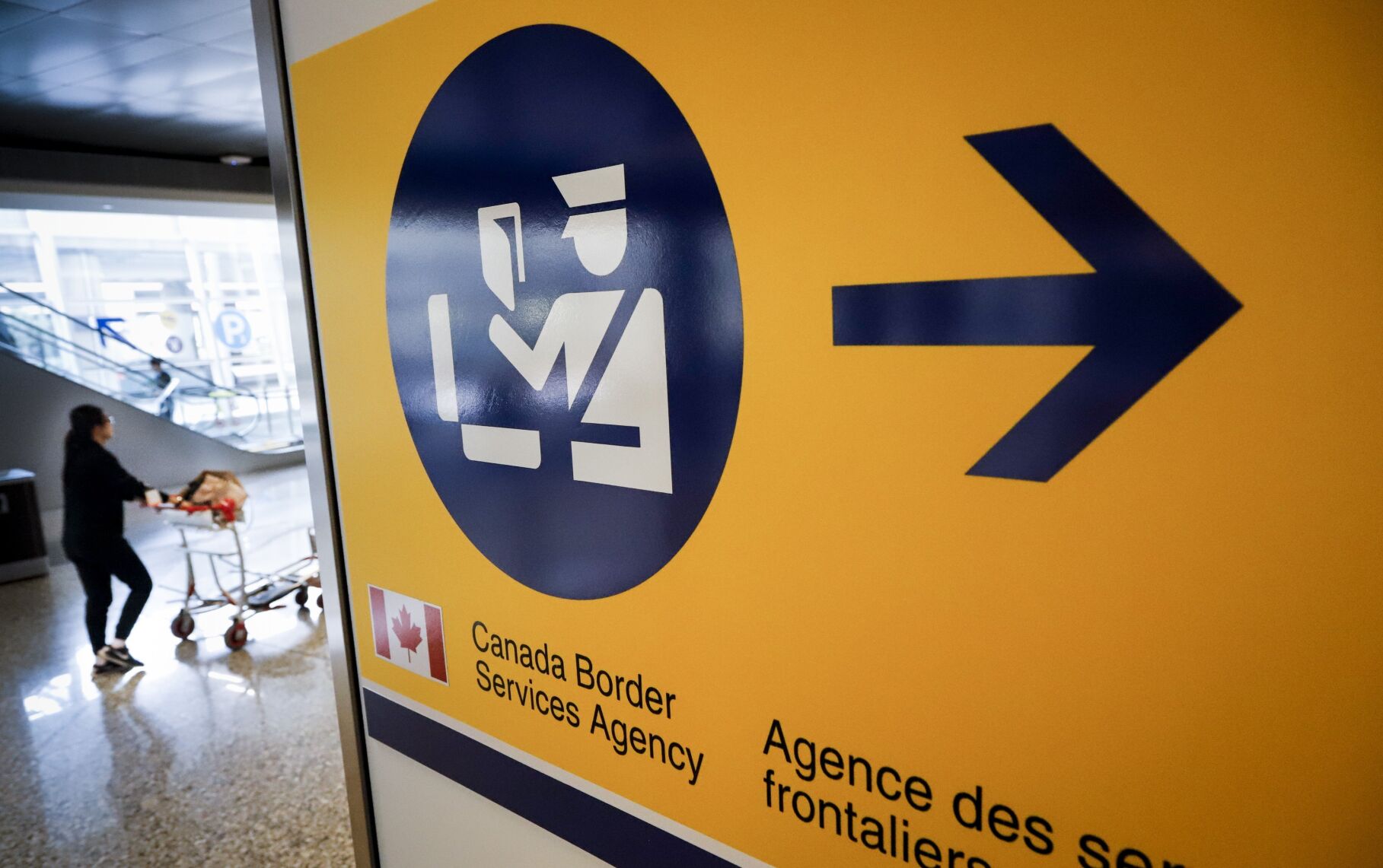 How Canada’s cannabis is tied to a global smuggling epidemic